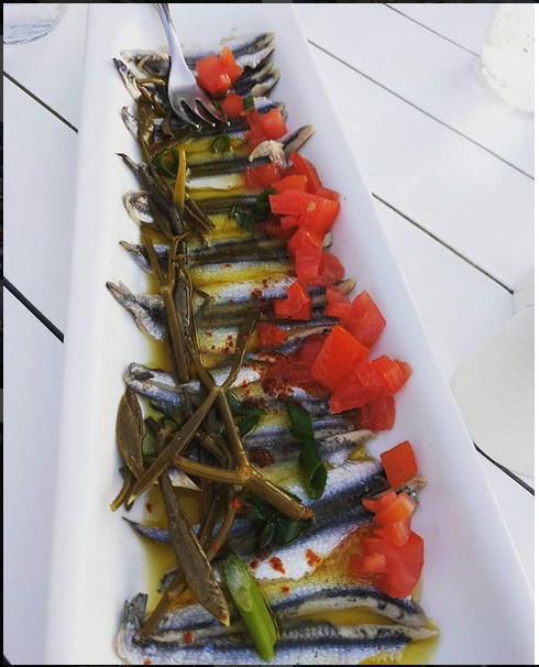 fish